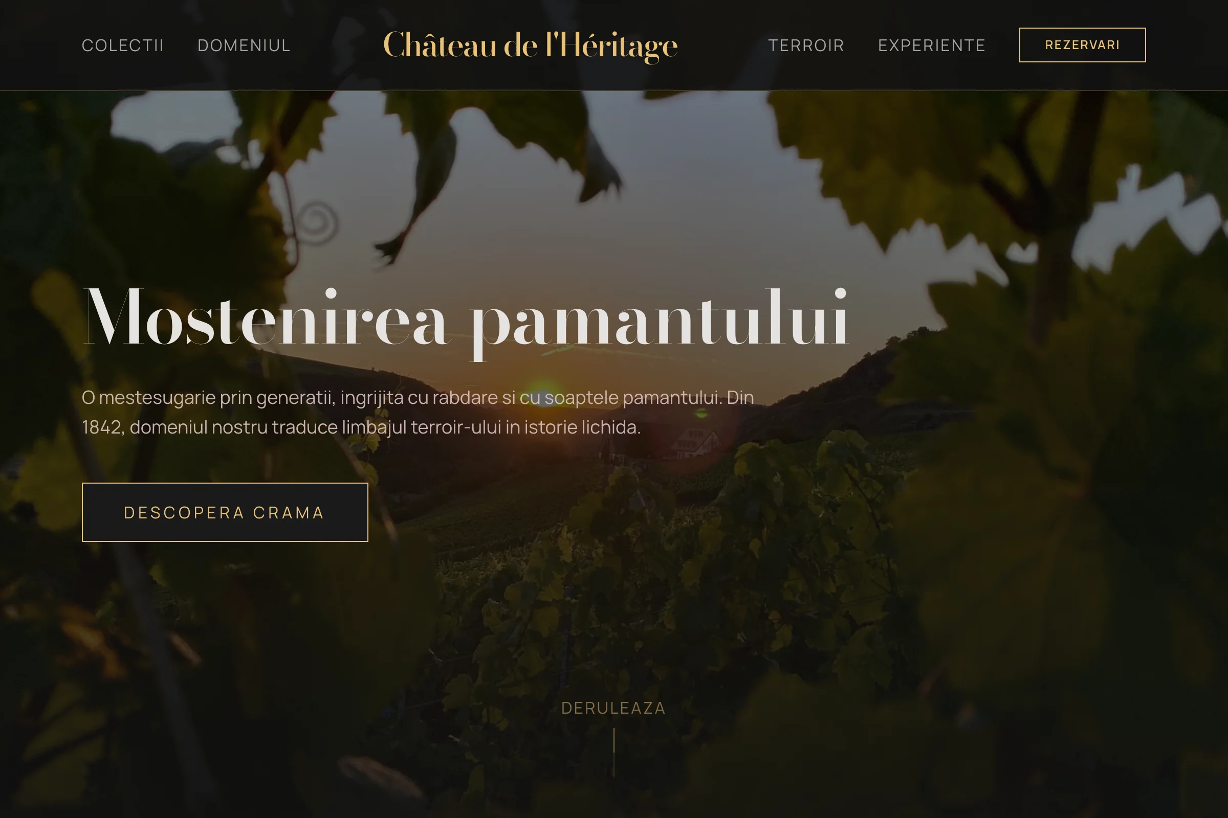 Mockup Château de l'Héritage - podgorie cu traditie